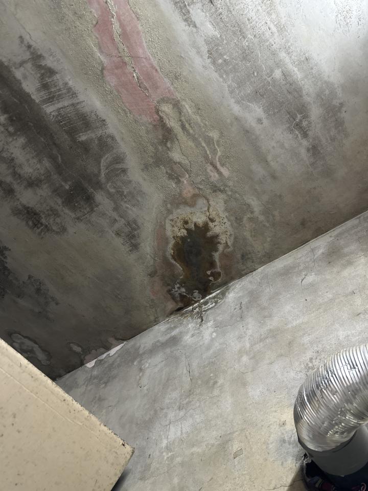 抓漏案件圖片