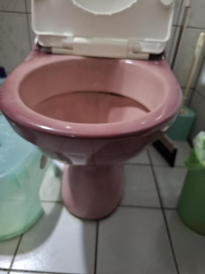 馬桶裝修案件圖片