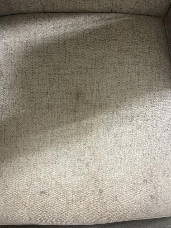 沙發清潔案件圖片