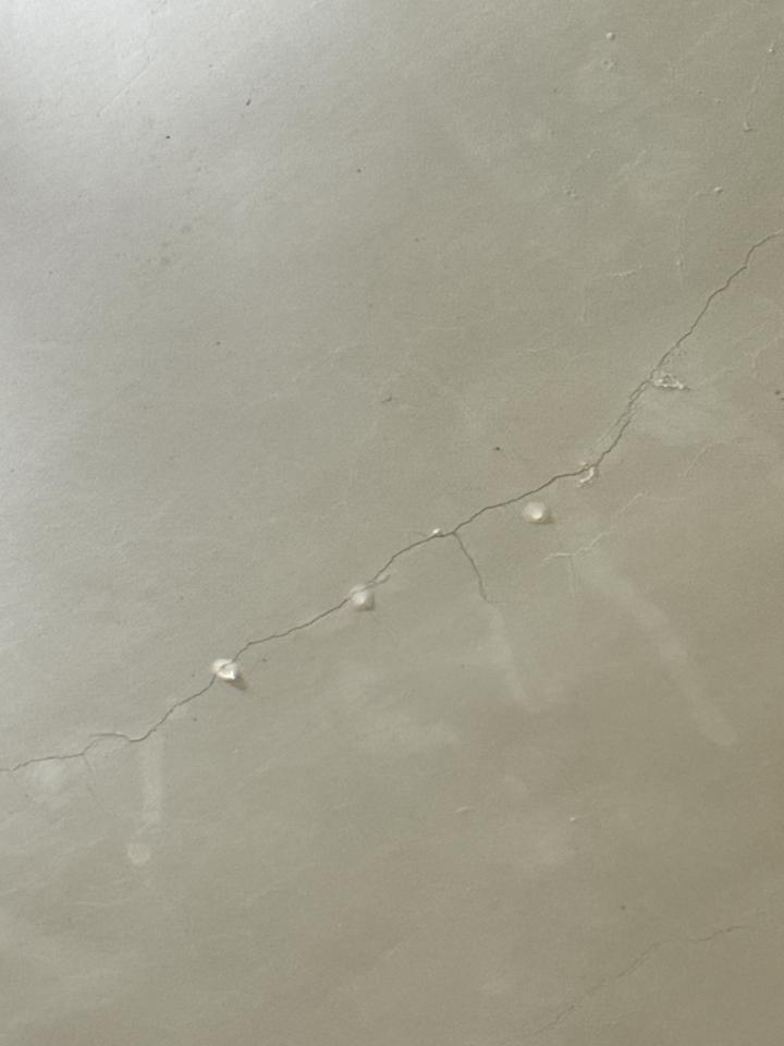 漏水處理案件圖片