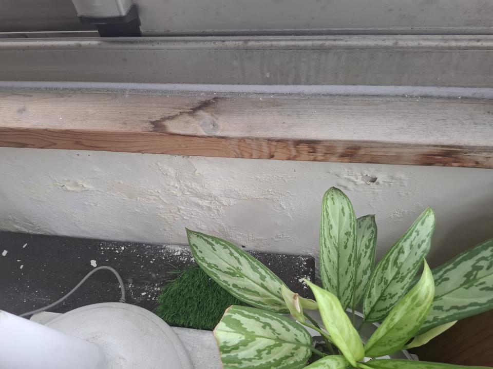 屋頂防水案件圖片