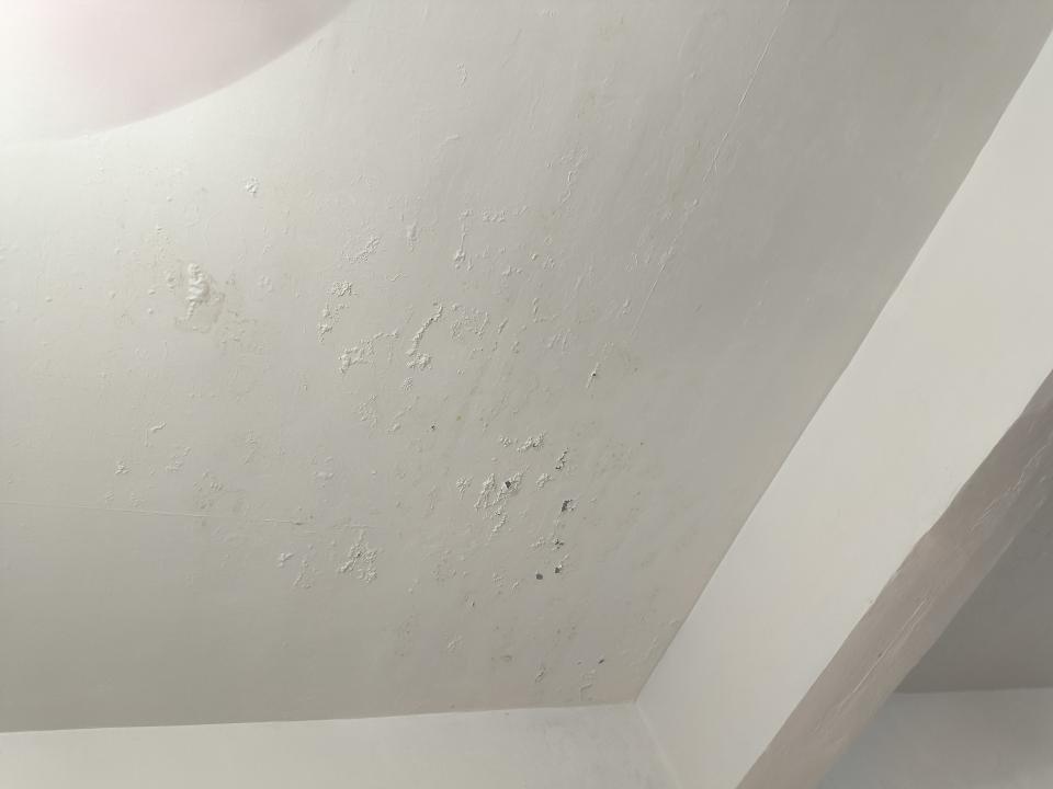 抓漏案件圖片