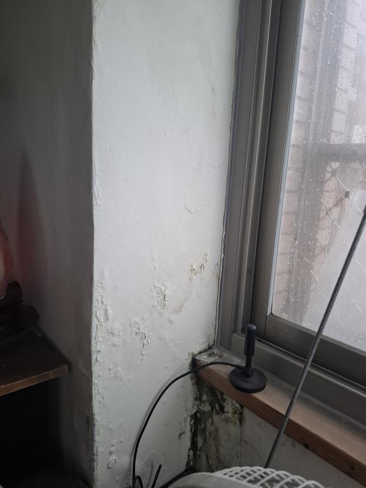 屋頂防水案件圖片