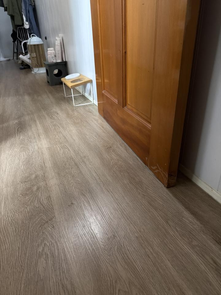 抓漏案件圖片