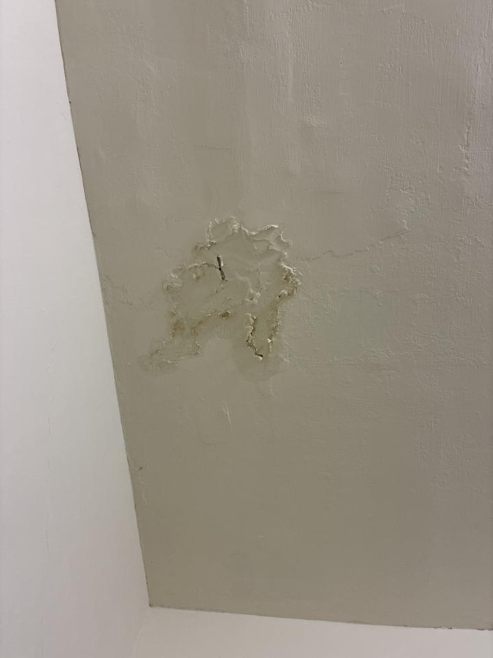 壁癌處理案件圖片