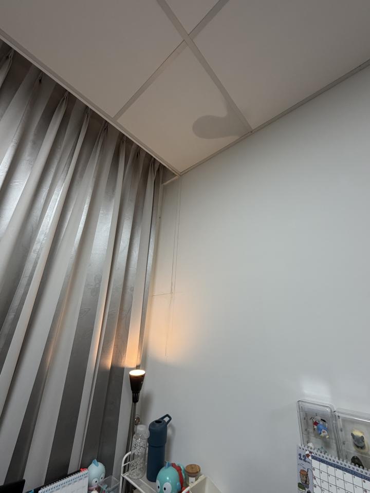 抓漏案件圖片