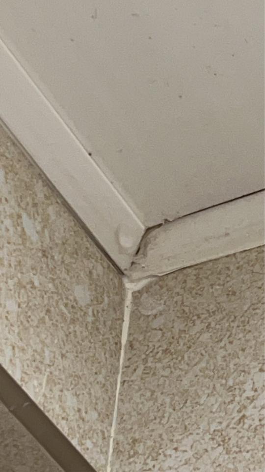 居家修繕案件圖片