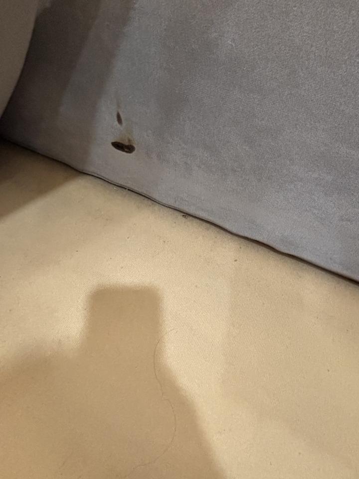 沙發清潔案件圖片