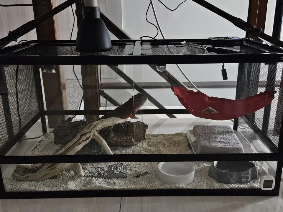 搬家案件圖片