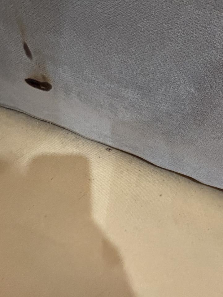 沙發清潔案件圖片