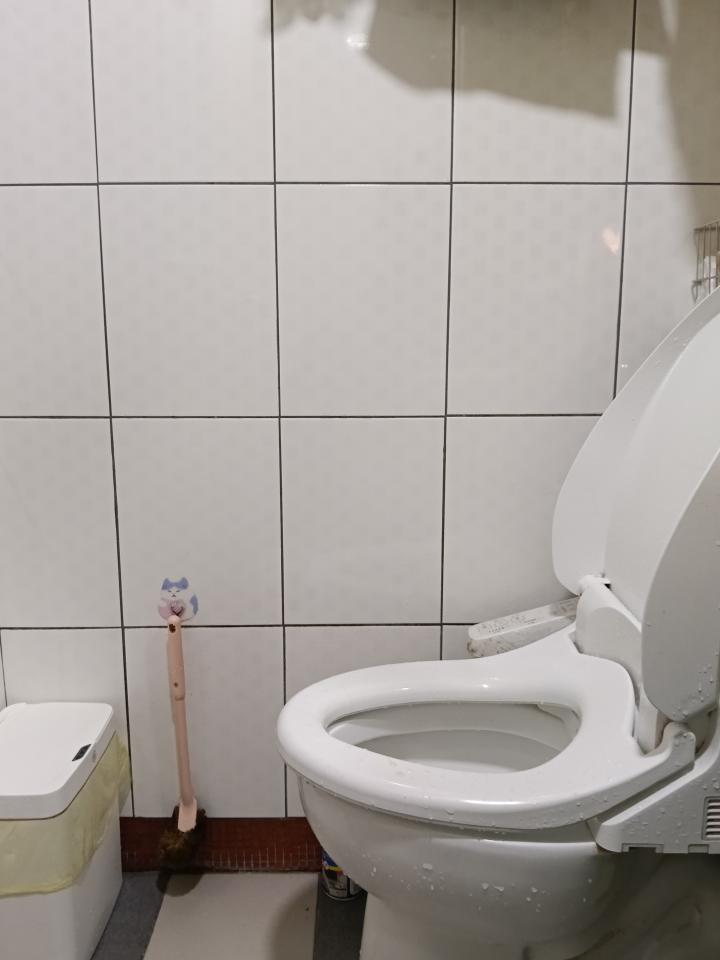 浴室扶手安裝案件圖片