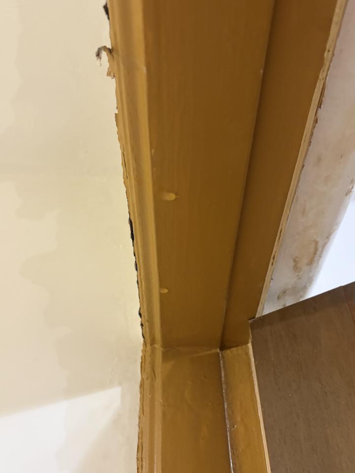 漏水處理案件圖片