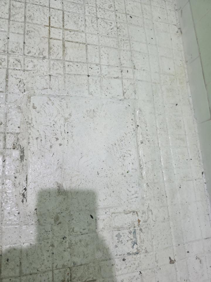 浴室翻新案件圖片