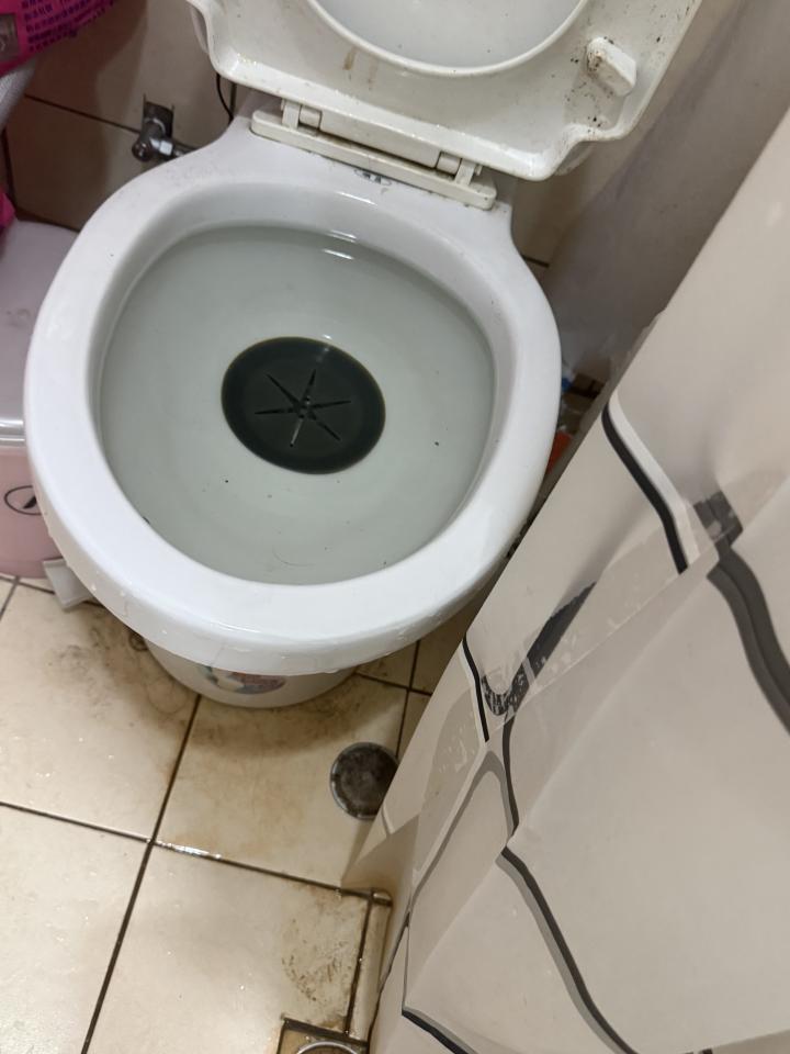 馬桶裝修案件圖片