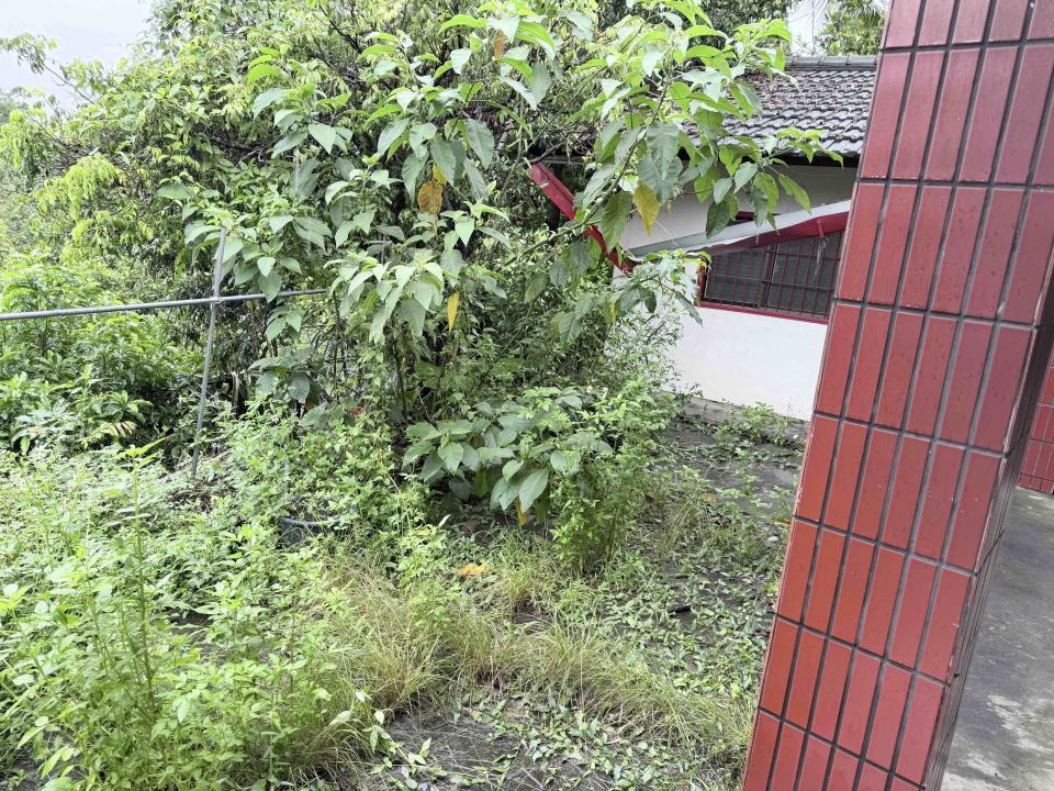 園藝維護案件圖片