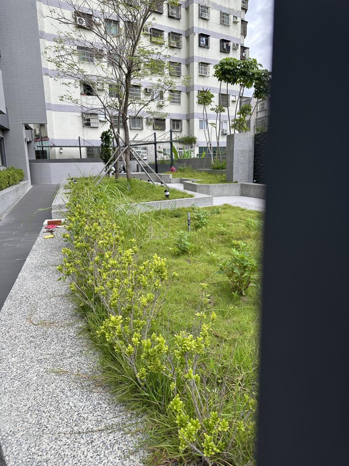 園藝維護案件圖片