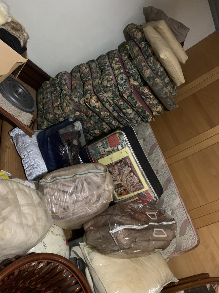 大型垃圾回收案件圖片