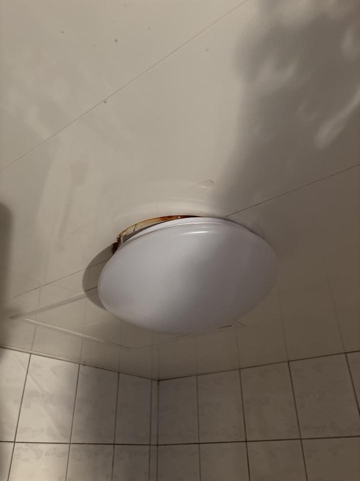 燈具安裝案件圖片