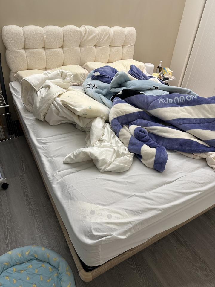 搬家案件圖片