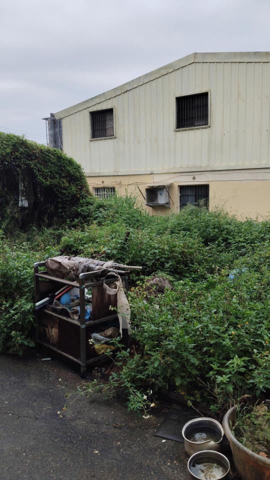 園藝維護案件圖片