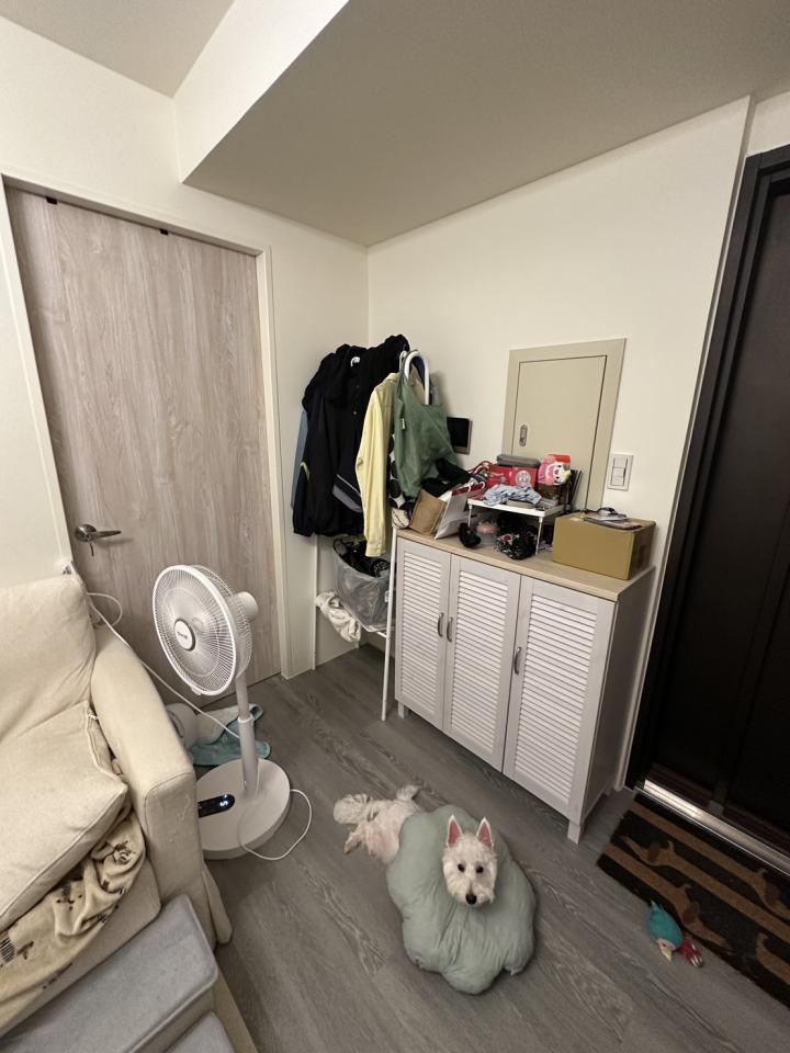 搬家案件圖片