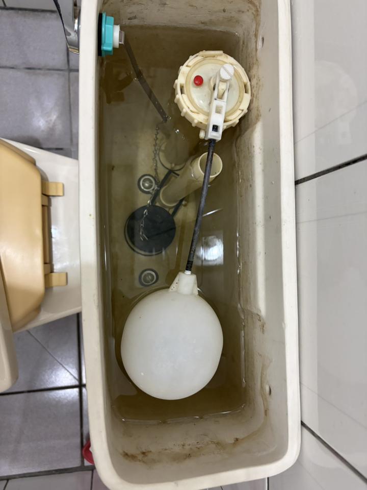 馬桶裝修案件圖片
