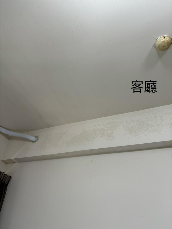 除霉案件圖片