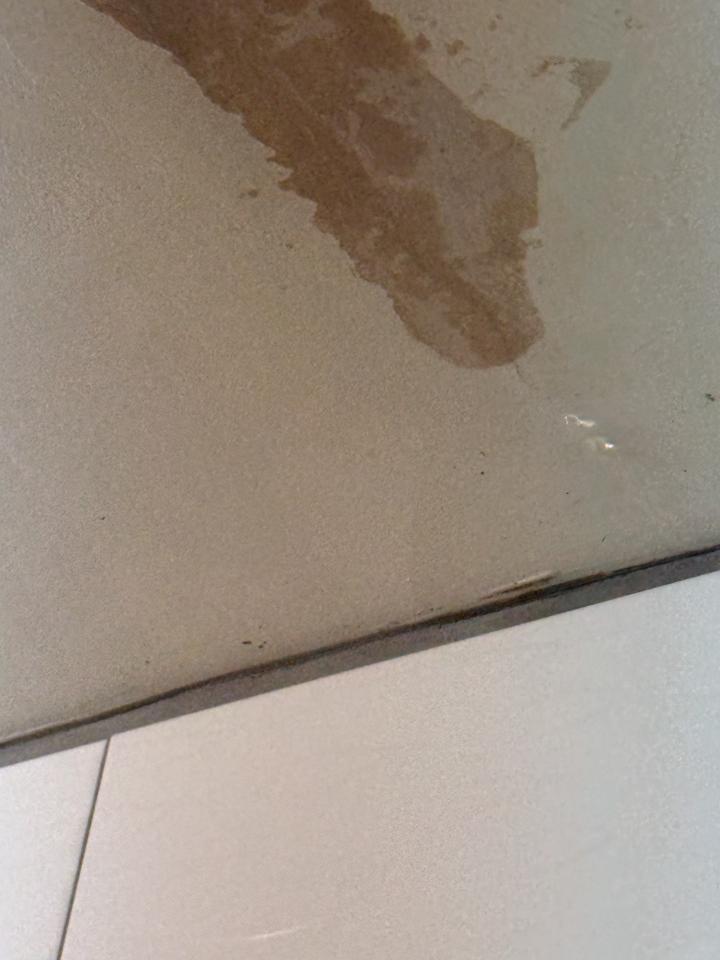 抓漏案件圖片
