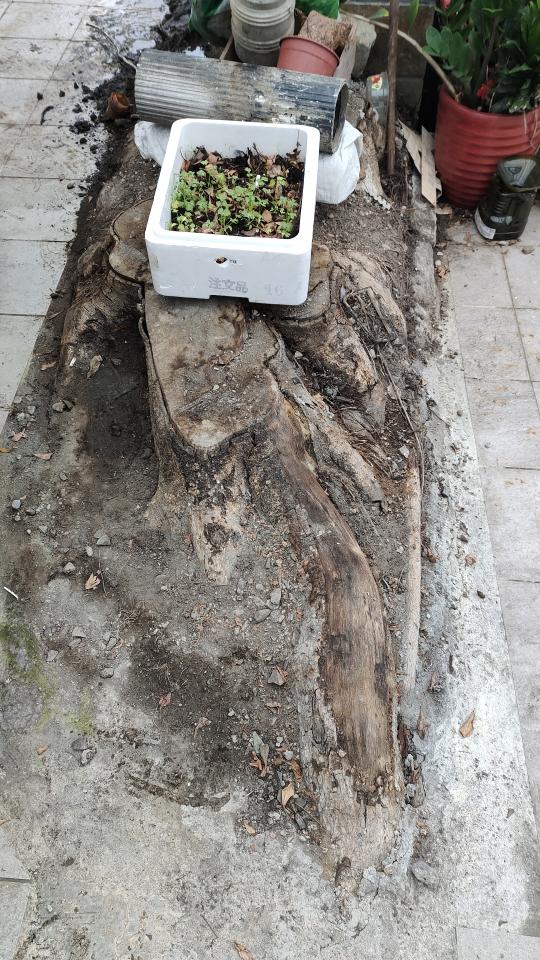 抓漏案件圖片