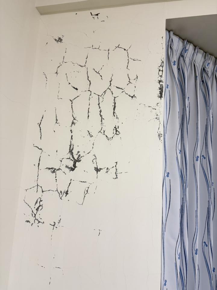 壁癌處理案件圖片