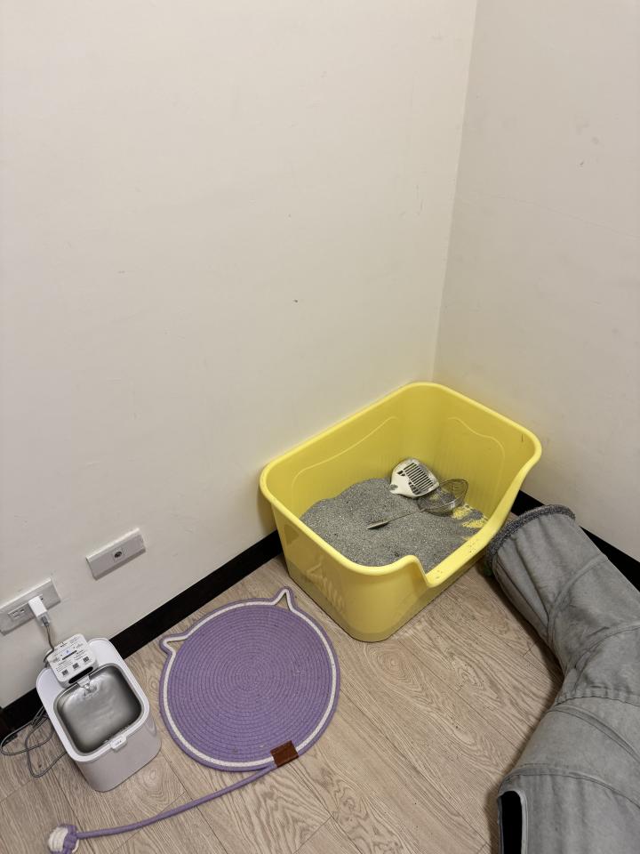搬家案件圖片