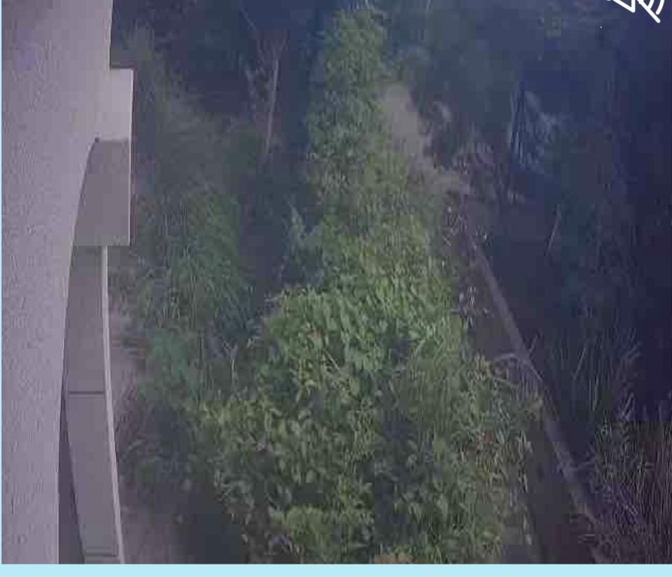園藝維護案件圖片