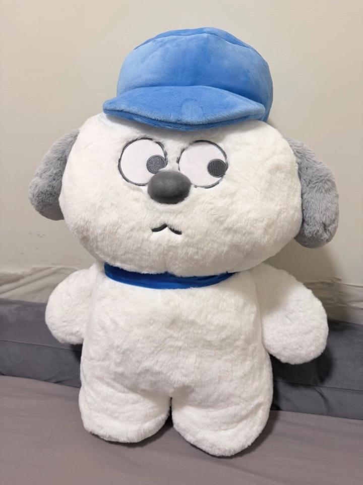 代購案件圖片