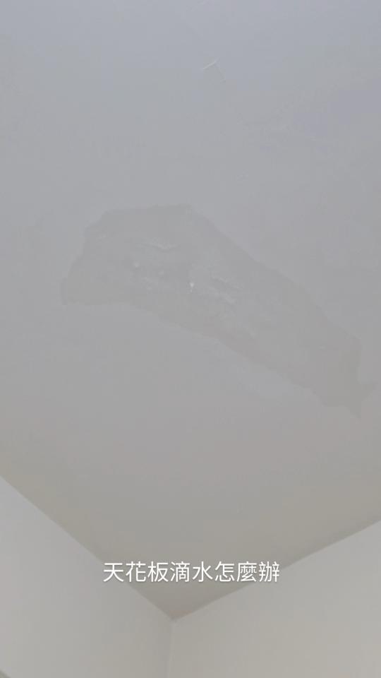 抓漏案件圖片