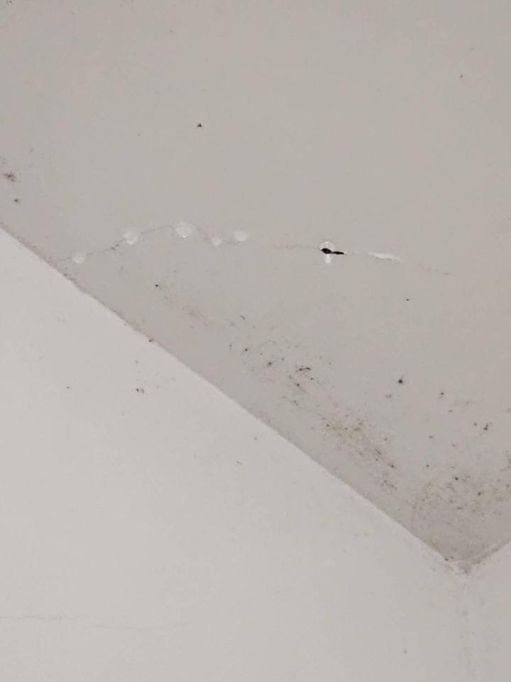 漏水處理案件圖片