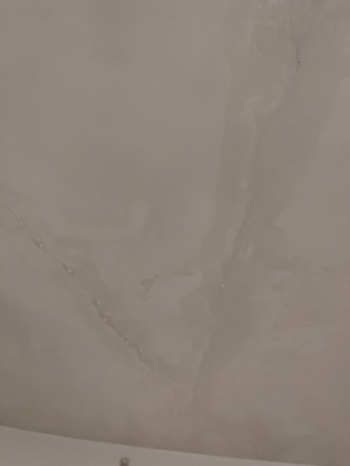 抓漏案件圖片