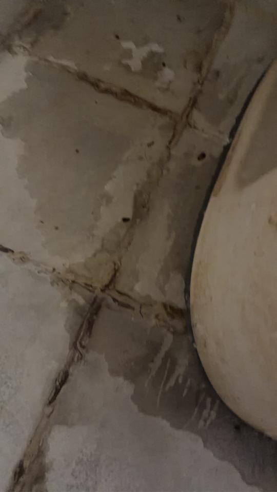 馬桶裝修案件圖片