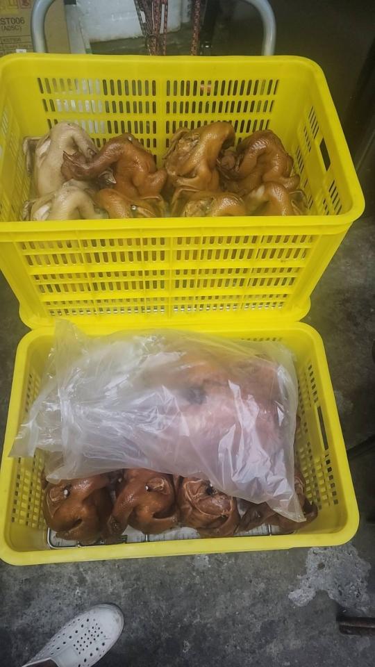 載貨運輸服務案件圖片