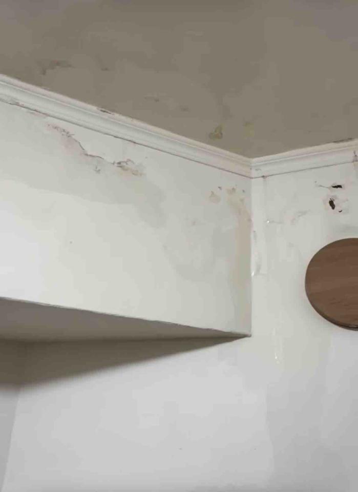 漏水處理案件圖片