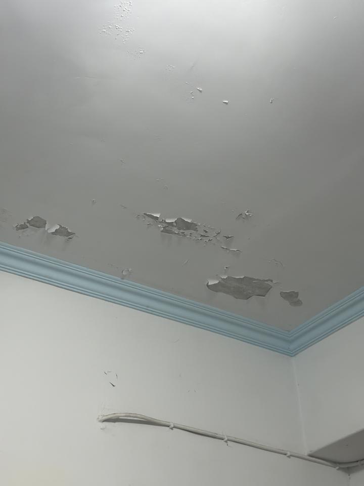 油漆工程案件圖片