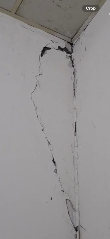 抓漏案件圖片