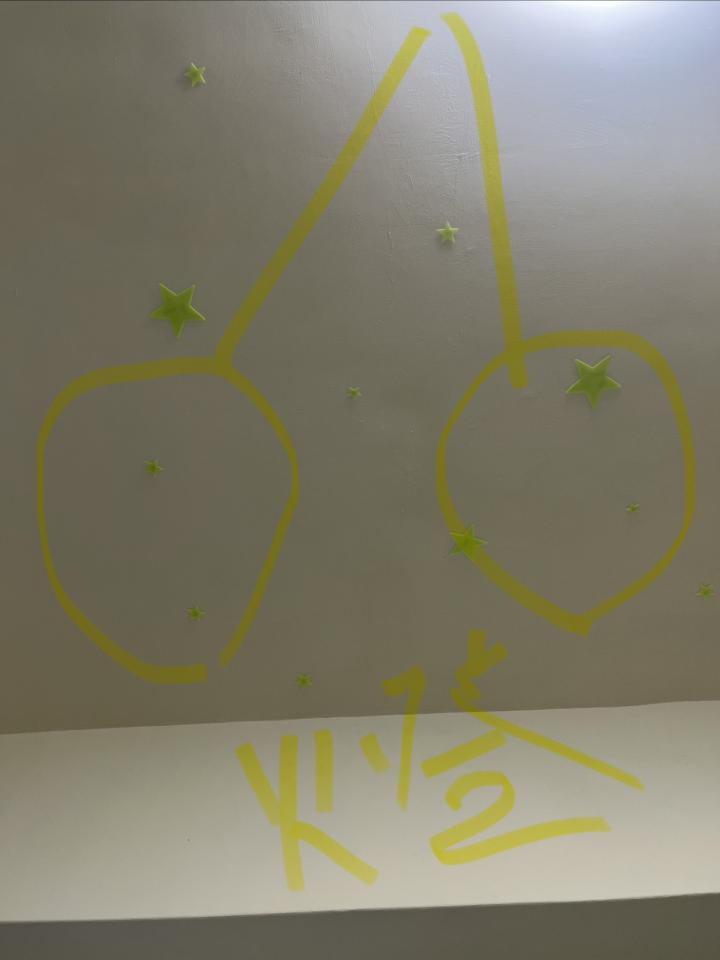 電線裝修案件圖片