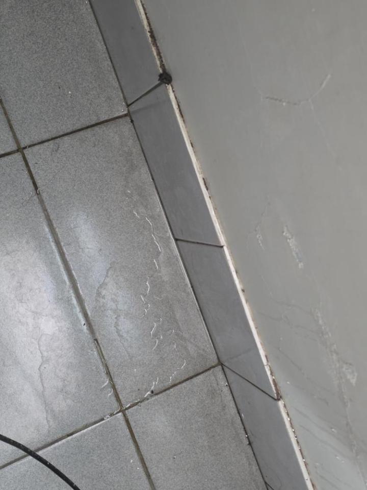 抓漏案件圖片