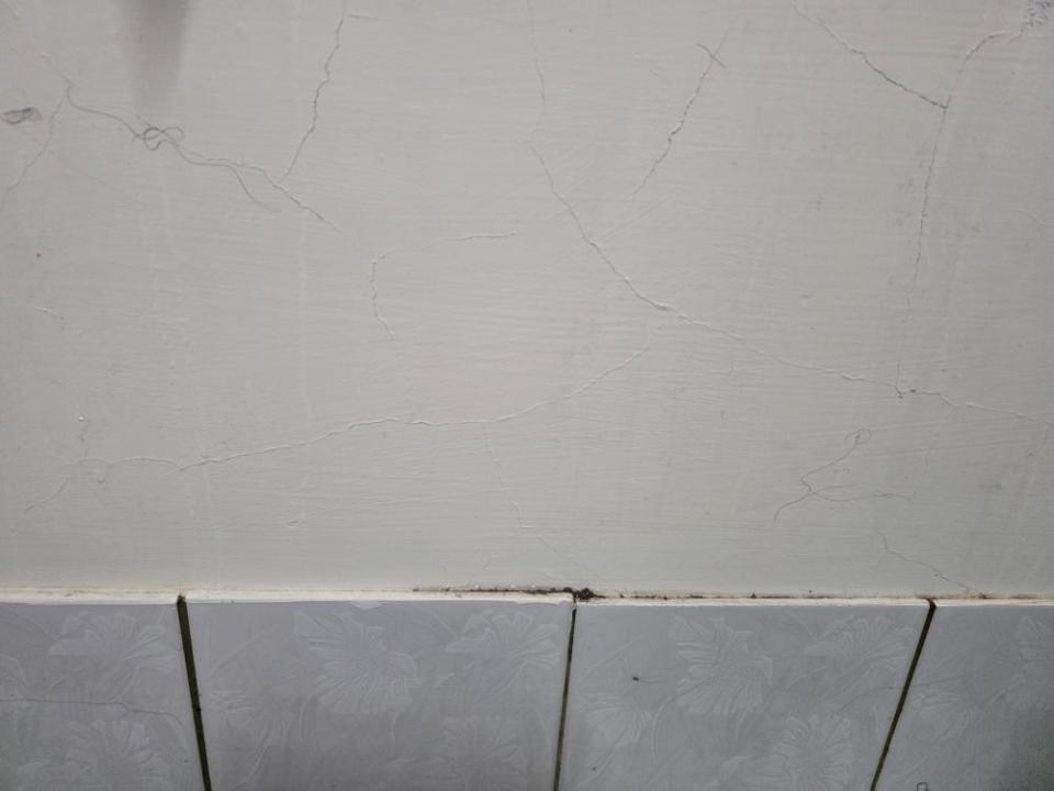 抓漏案件圖片