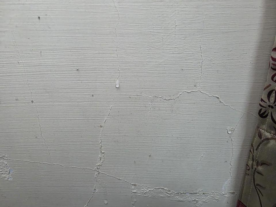 抓漏案件圖片