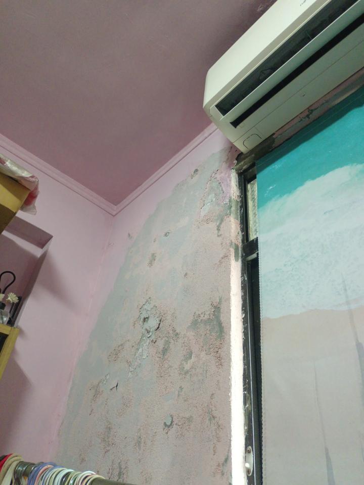 抓漏案件圖片