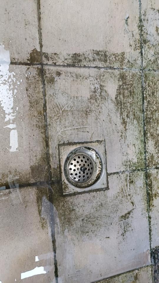 抓漏案件圖片