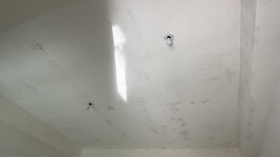 除霉案件圖片