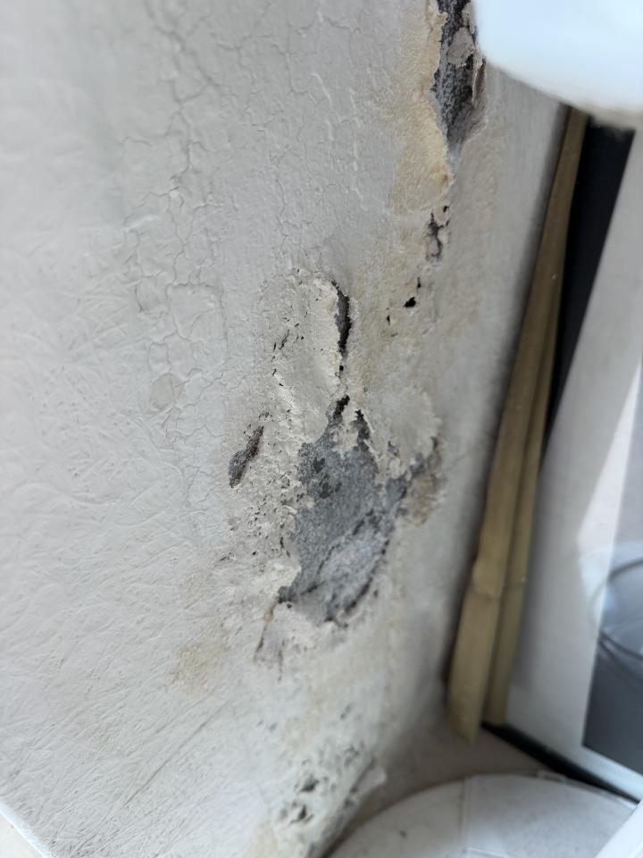 漏水處理案件圖片