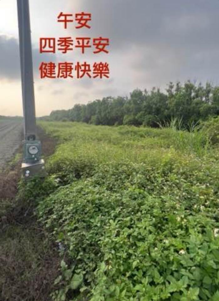 園藝維護案件圖片